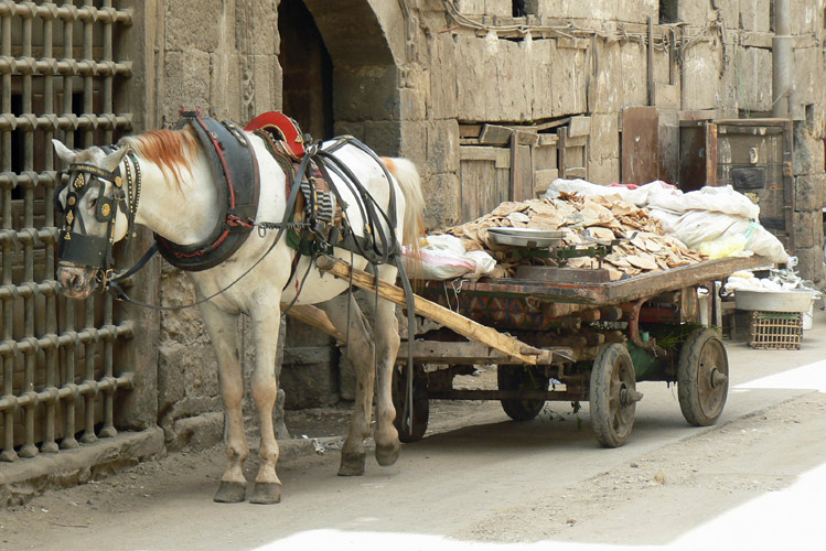 Egypt_010