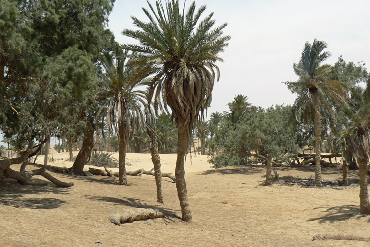 Egypt_054