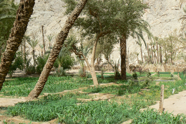Egypt_095