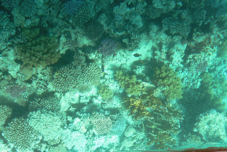 Egypt_122