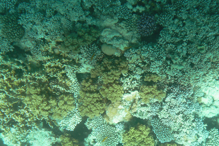 Egypt_124