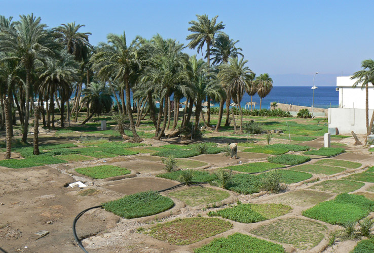 Jordan_002