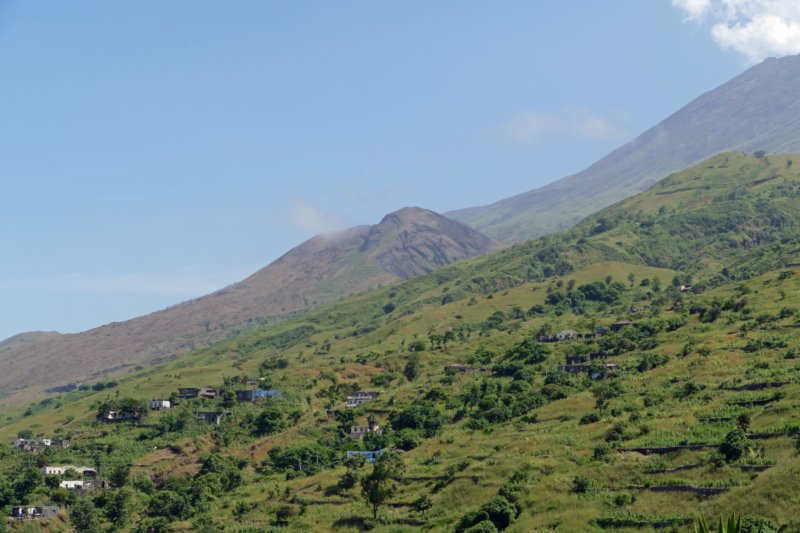 fogogalinheiros2.jpg