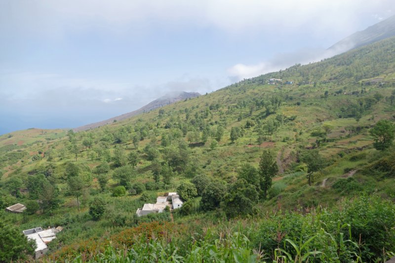 fogoponteverde.jpg