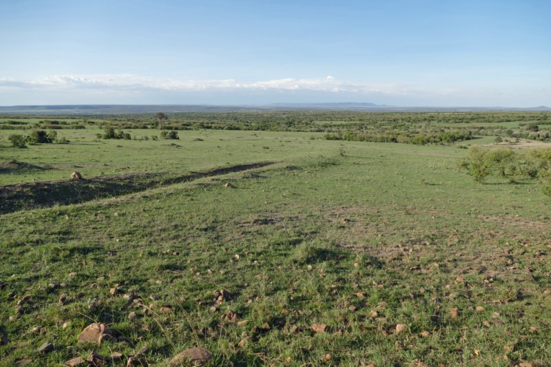 masaimara2.jpg