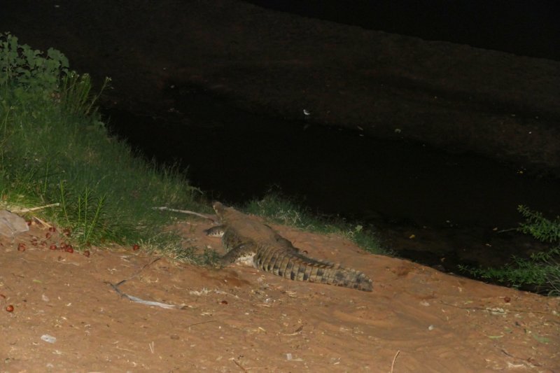 samburu.jpg