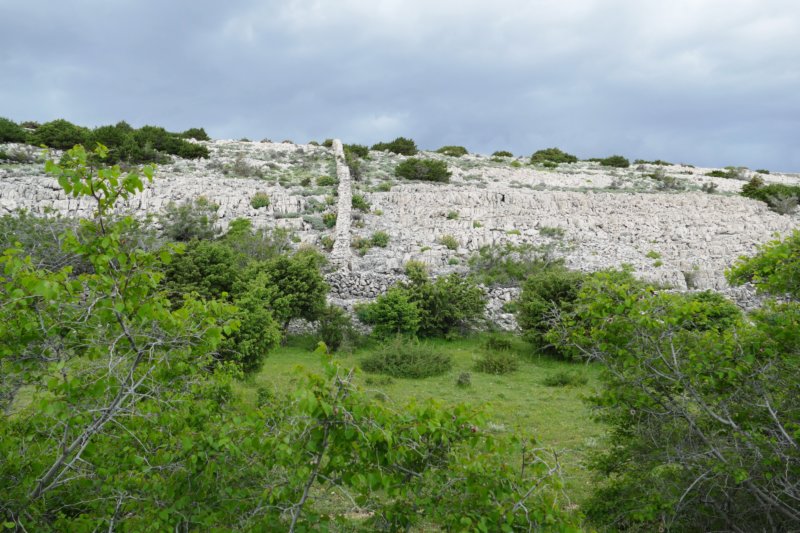 pag9.jpg