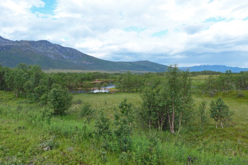 forfjordalen.jpg