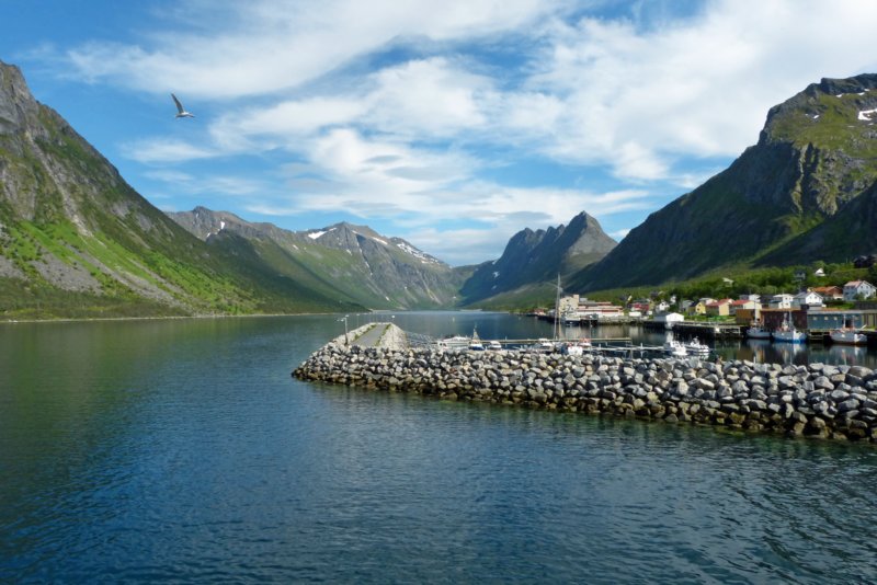 gryllefjord.jpg