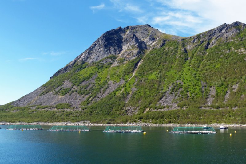 gryllefjord2.jpg