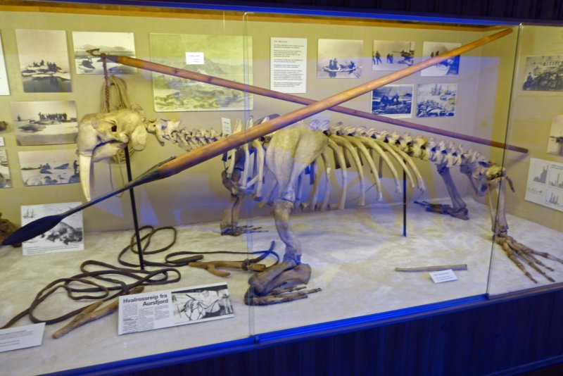 polarmuseettromso.jpg