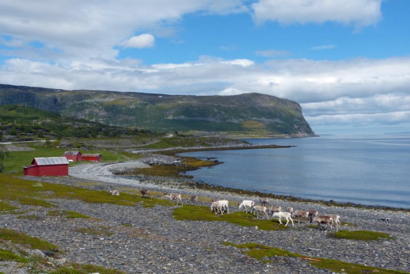 porsangerfjord3.jpg