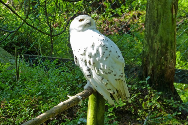 ranuawildlifepark.jpg