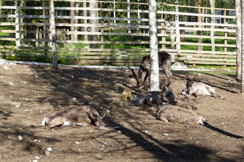 ranuawildlifepark9.jpg