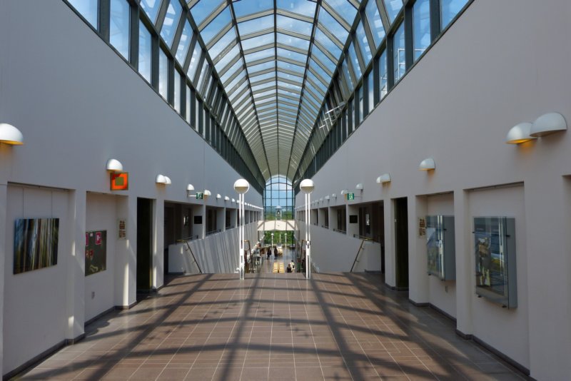 rovaniemiarktikum.jpg