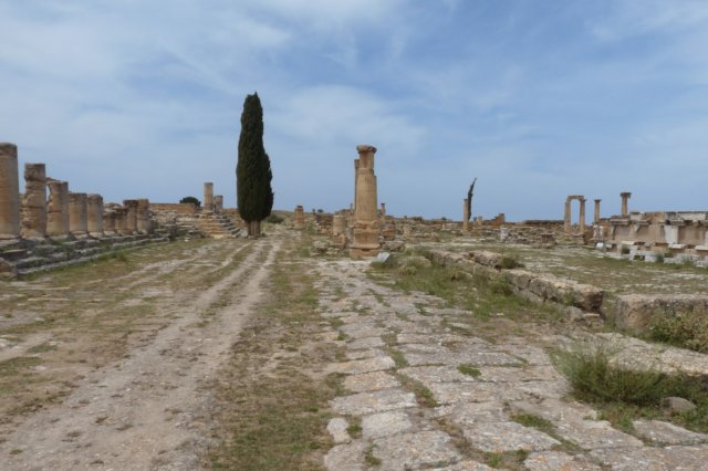 cyreneagora.jpg