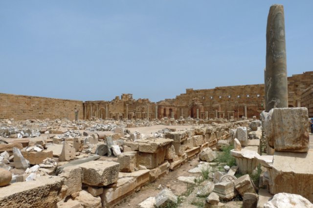 leptismagnaseverischforum.jpg