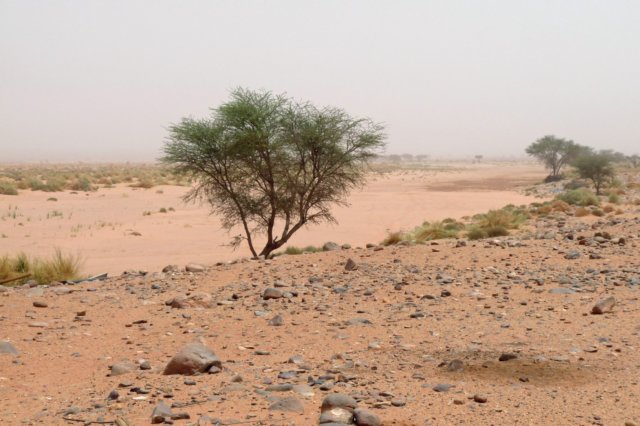 wadimathkendouswadi.jpg