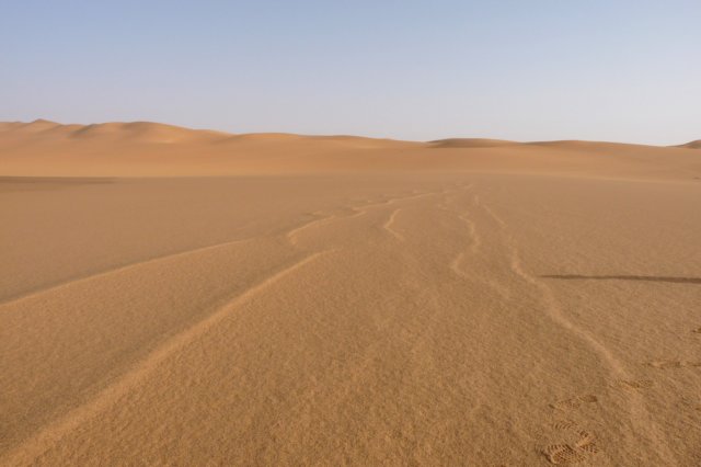 wancazazandzee2.jpg