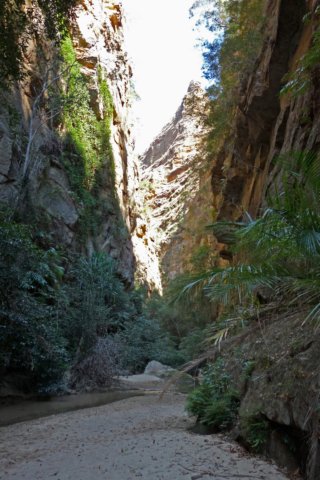 canyoninisalonationalpark2.jpg