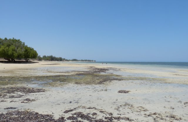 strandbijifaty2.jpg