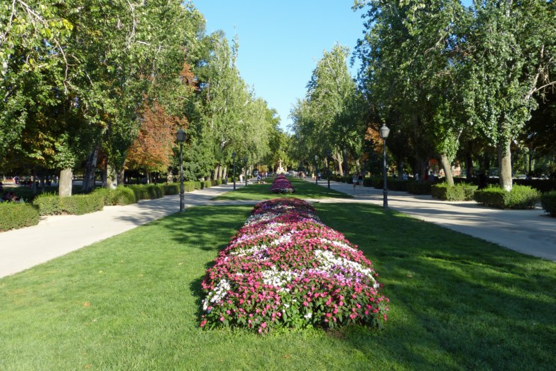 parquedelretiro2.jpg