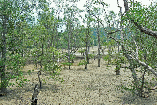P1030780