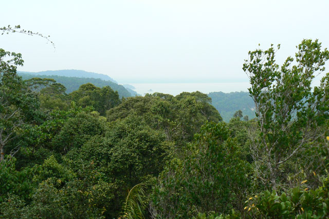P1030856