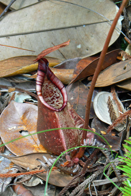 P1030861