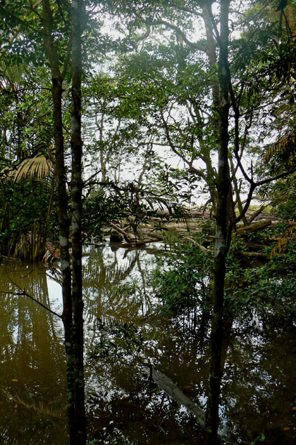 P1040156