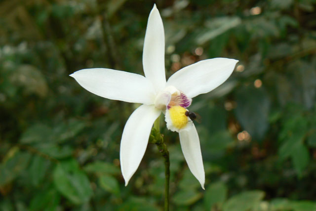 P1040161