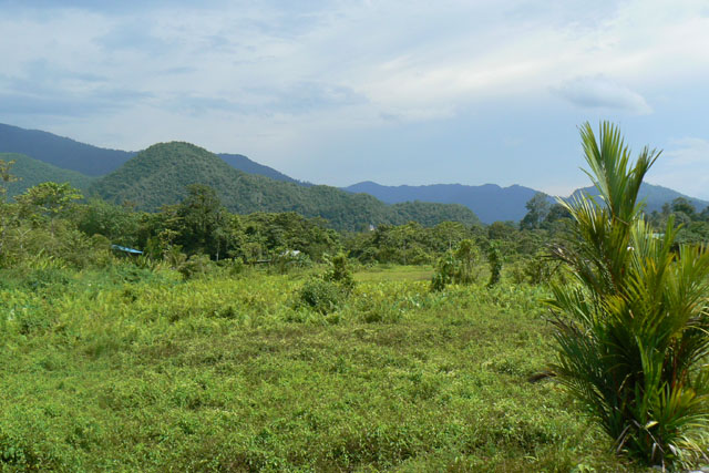 P1040233