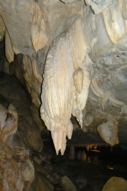 P1040250
