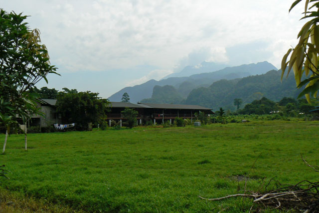 P1040331