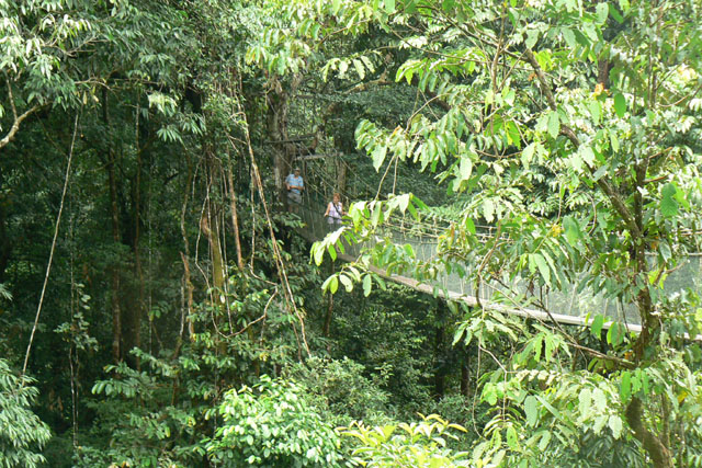 P1040403