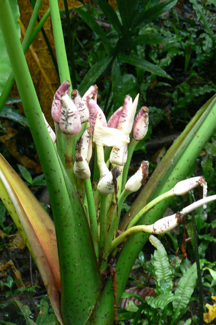 P1040430