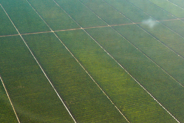 P1040438