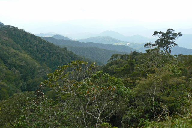 P1040545