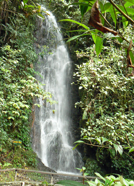 P1040551