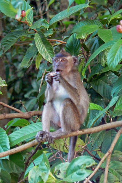 P1040566