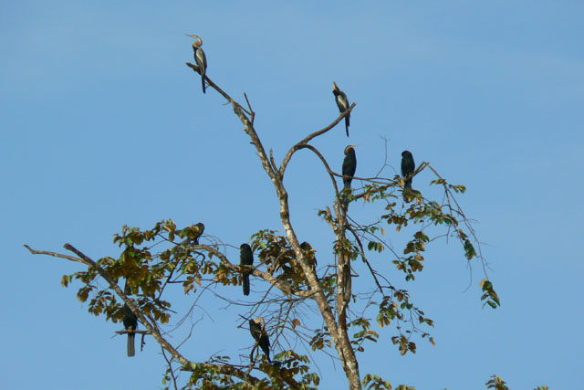 P1040676