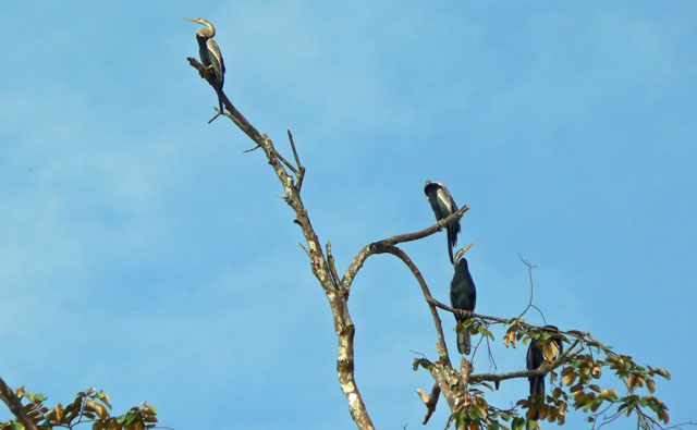 P1040679