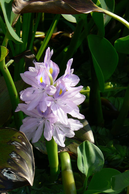 P1040725