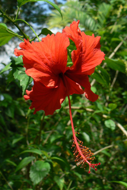 P1040765