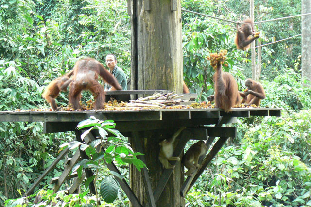 P1040813