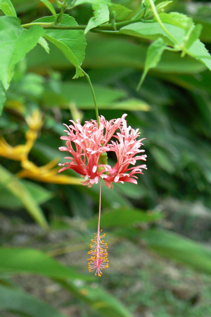 P1040860