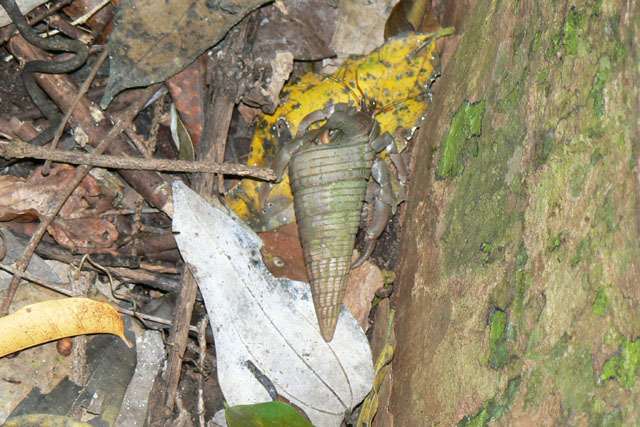 P1040968