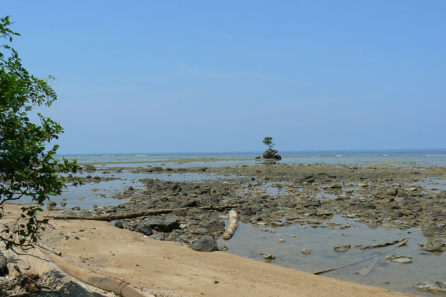P1040978