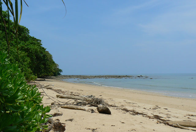 P1040984
