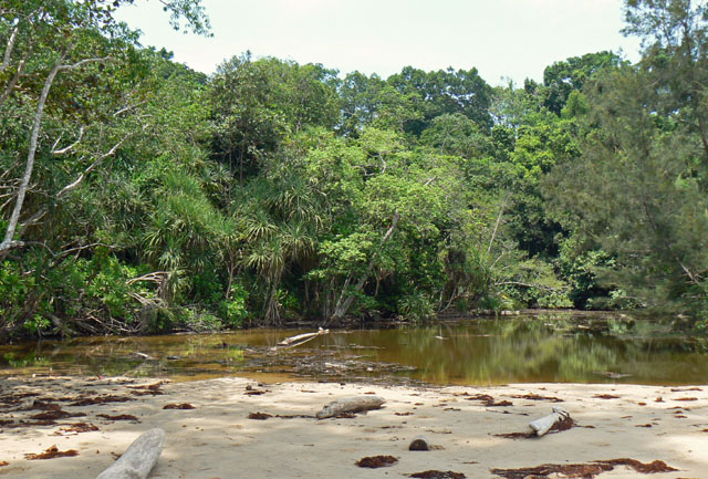 P1040986